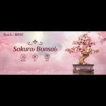 diy-wooden-bonsai-model-for-decor DIY wooden bonsai display model among books and small objects on home shelf