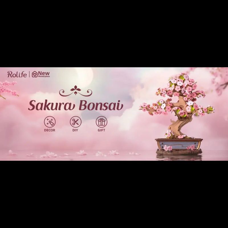 diy-wooden-bonsai-model-for-decor DIY wooden bonsai display model among books and small objects on home shelf