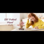 eco-friendly-wooden-bonsai-craft-kit Eco friendly wooden bonsai craft kit