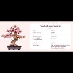 gift-ready-wooden-bonsai-puzzle-set Gift ready wooden bonsai puzzle set
